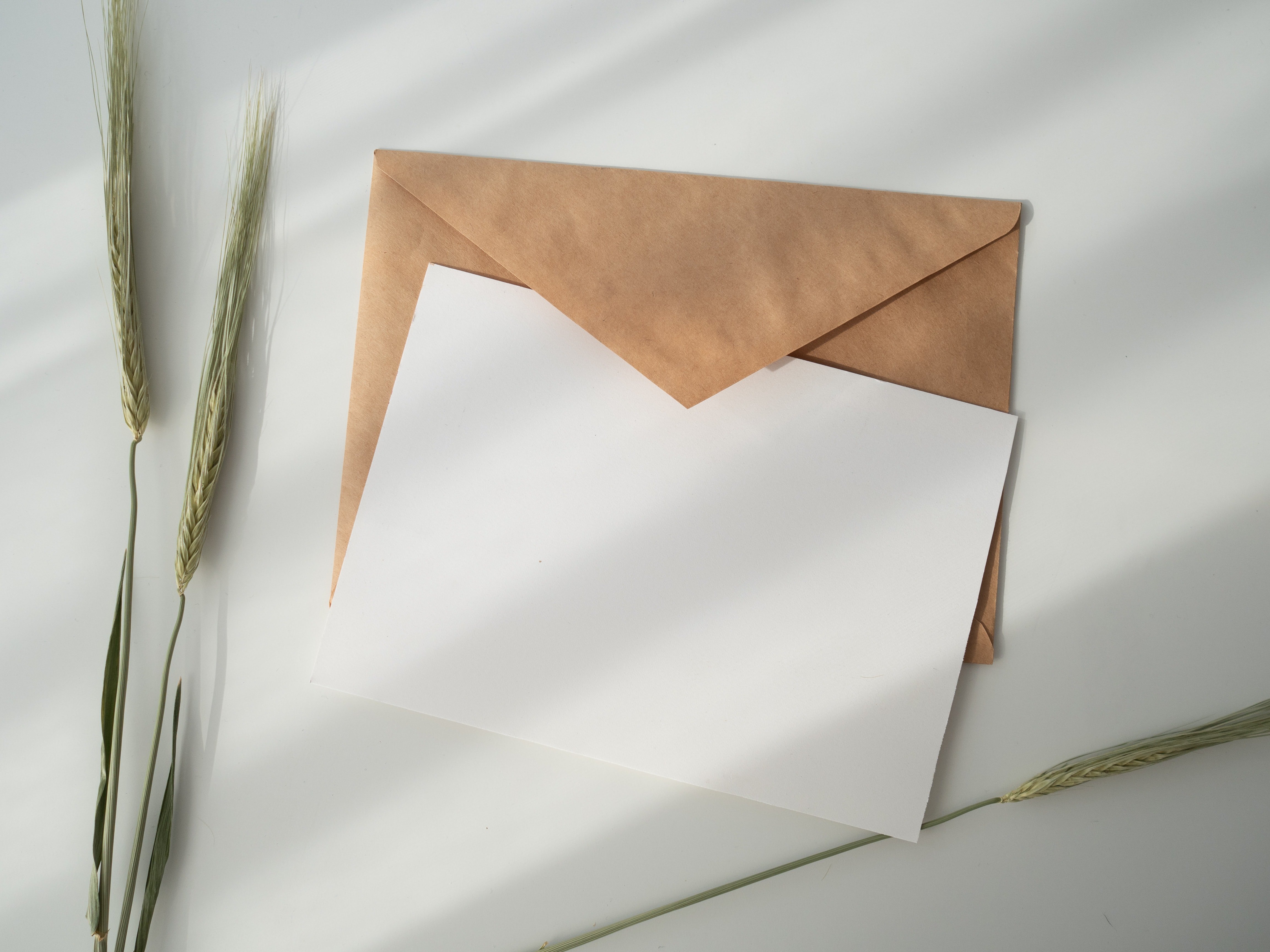 Letter to a long-lost friend