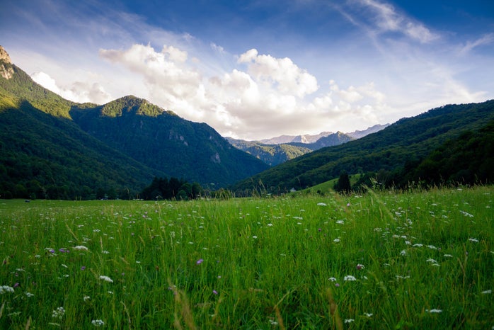 grass field and mountains by Nikola Majksner?width=698&height=466&fit=crop&auto=webp