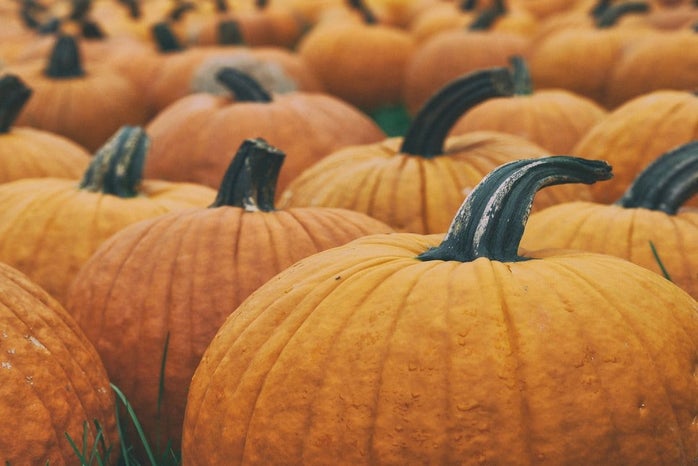 multiple pumpkins by Unsplash?width=698&height=466&fit=crop&auto=webp