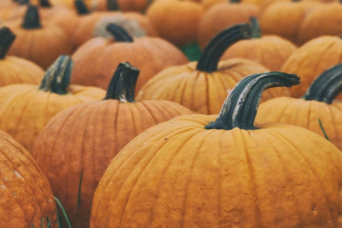 multiple pumpkins by Unsplash?width=698&height=466&fit=crop&auto=webp