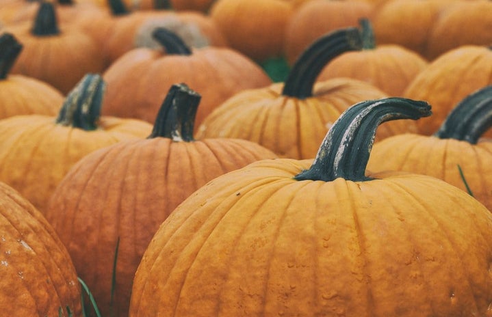 multiple pumpkins by Unsplash?width=719&height=464&fit=crop&auto=webp
