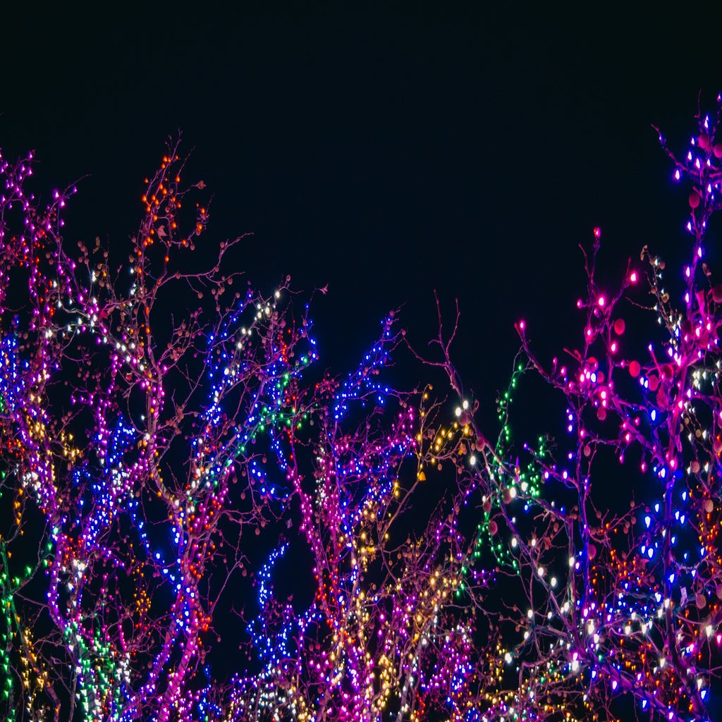 tree branches covered with various colors of string lights