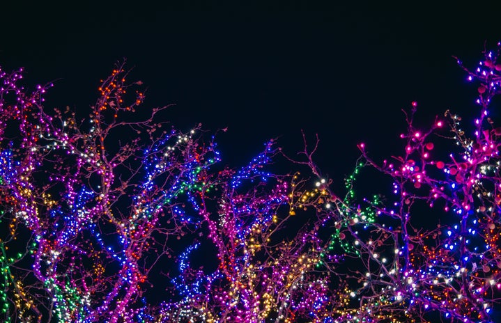 colorful christmas lights by Jonathan Meyer?width=719&height=464&fit=crop&auto=webp