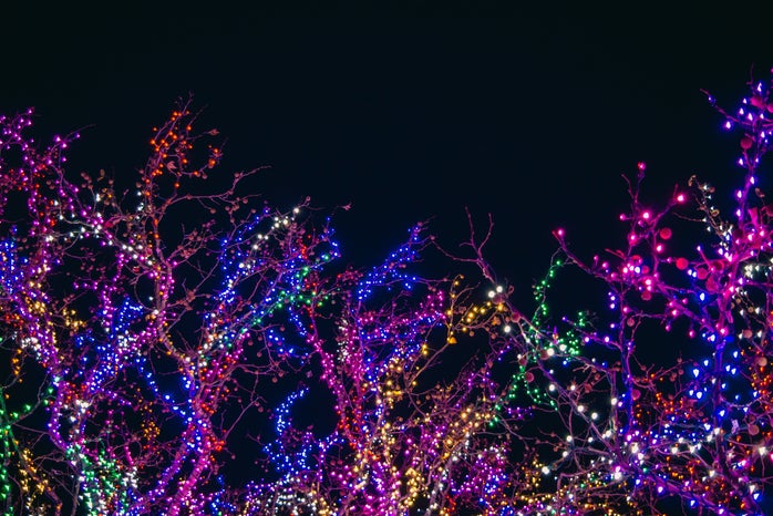 colorful christmas lights by Jonathan Meyer?width=698&height=466&fit=crop&auto=webp