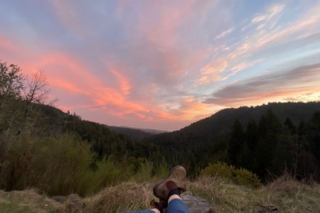California landscape