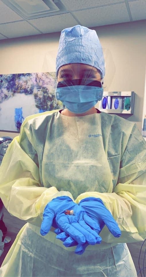 hannah dental shadowing