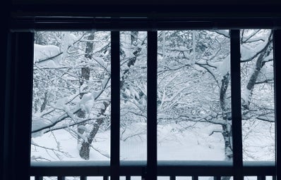 Window out onto snowy day