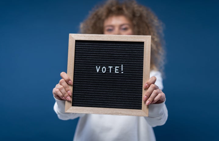 person holding a vote sign?width=719&height=464&fit=crop&auto=webp