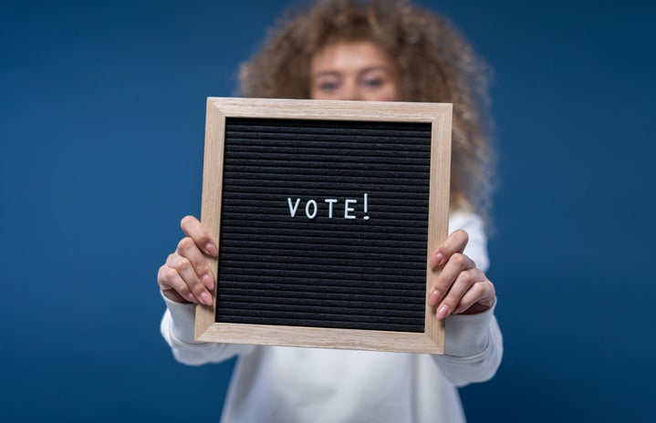 person holding a vote sign?width=719&height=464&fit=crop&auto=webp