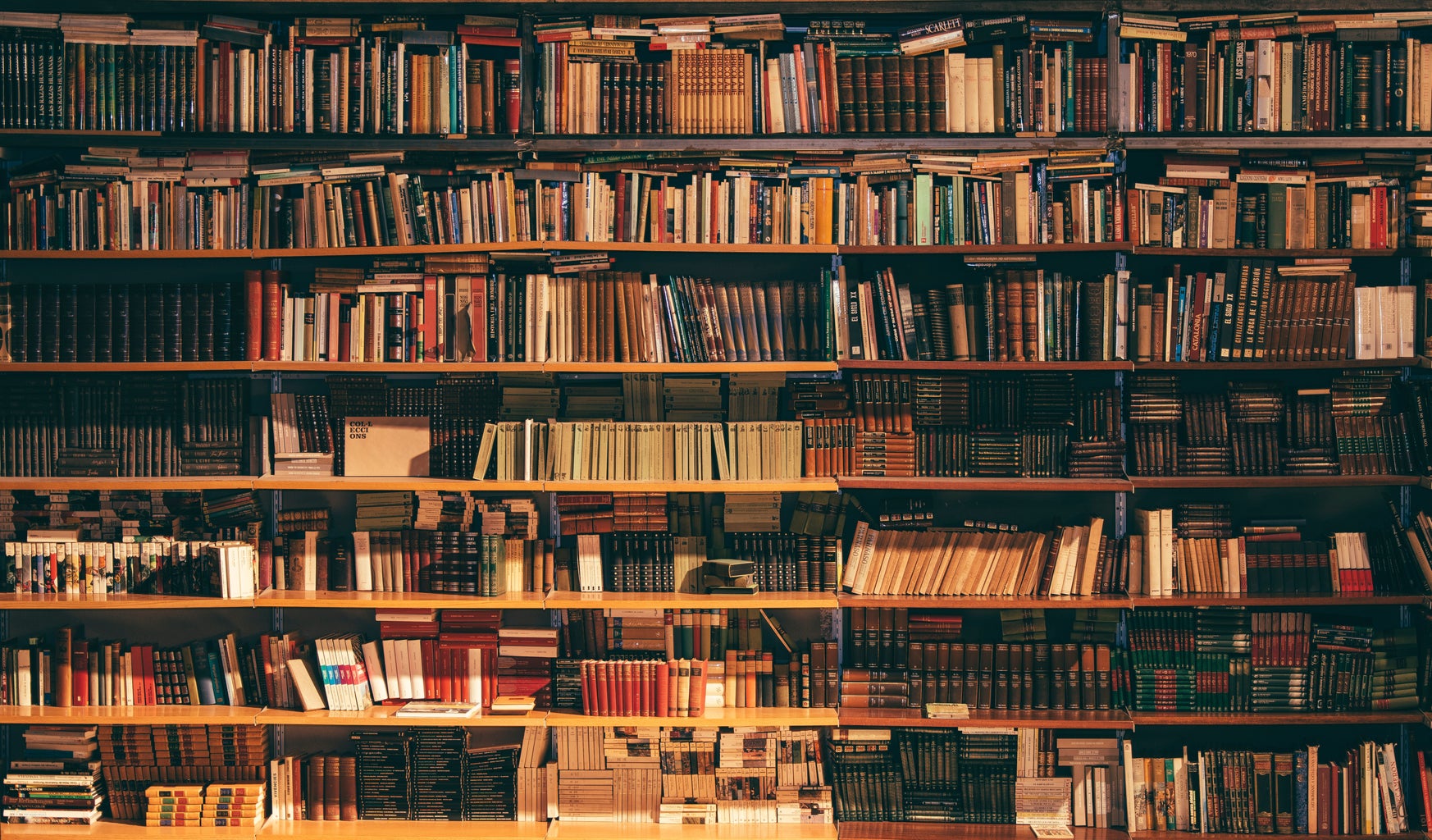 books on bookstore shelf