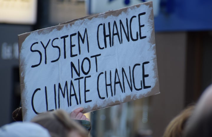 person holding climate change sign
