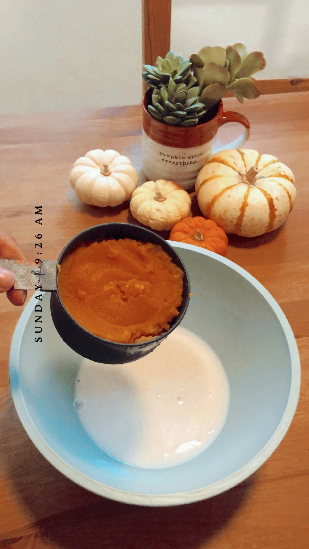 Pumpkin puree in a measuring spoon