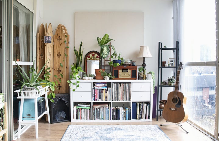 records books and plants in living room by Samantha Hurley?width=719&height=464&fit=crop&auto=webp