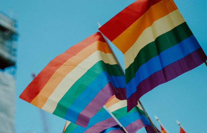 LGBT flags flying at a Pride march by Unsplash?width=719&height=464&fit=crop&auto=webp