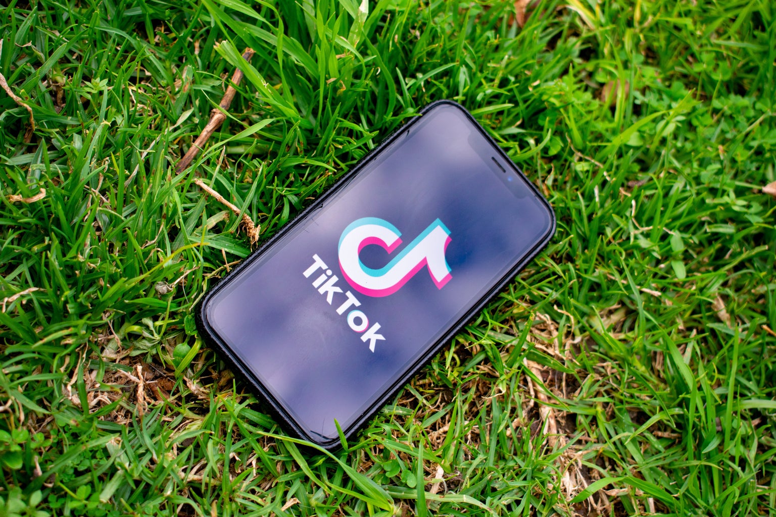 phone with tiktok logo on the grass