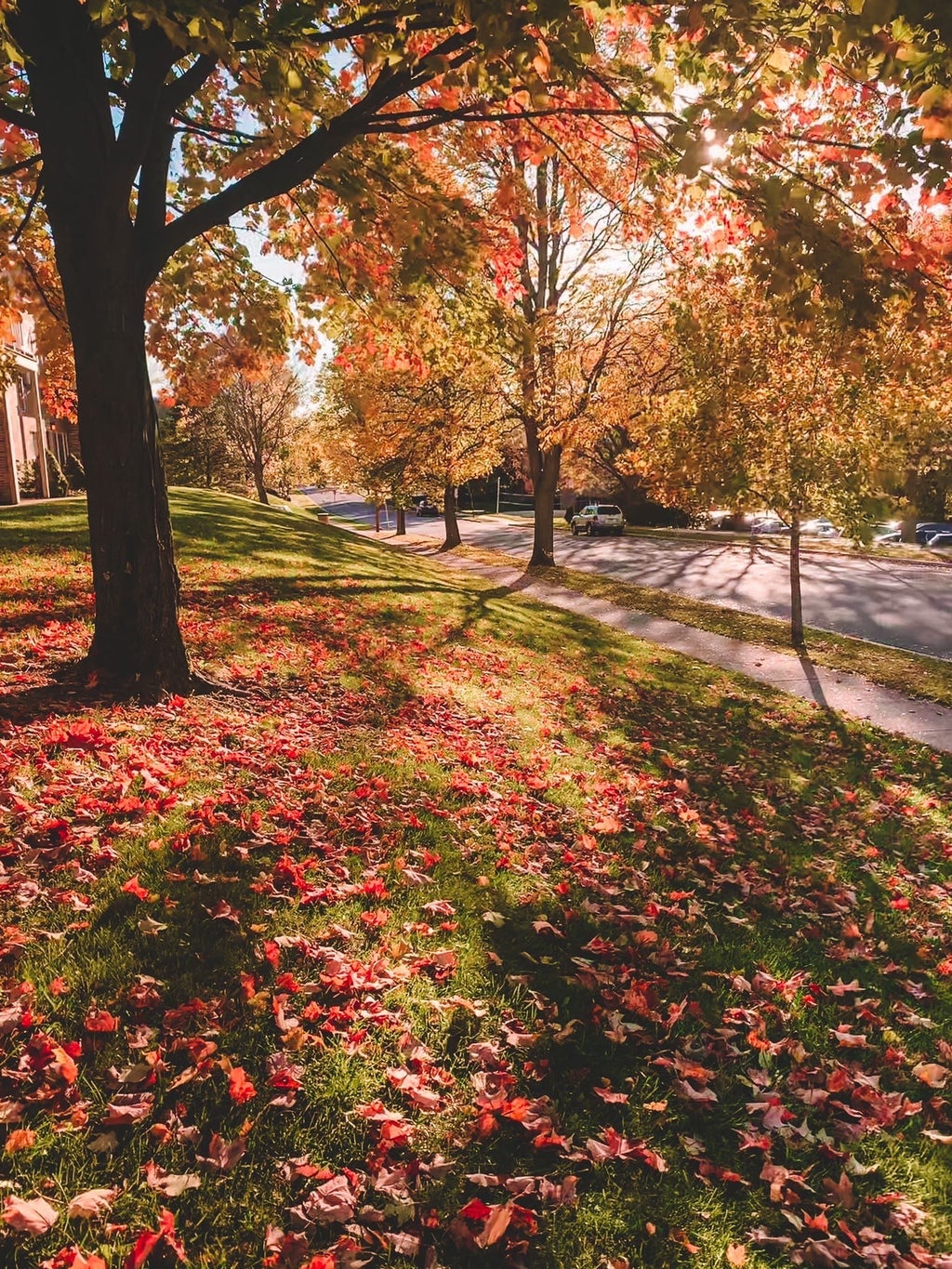Penn State Fall Landscape