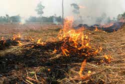 Fire is burning hay in the dry season