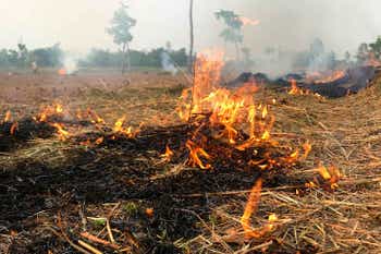 Fire is burning hay in the dry season