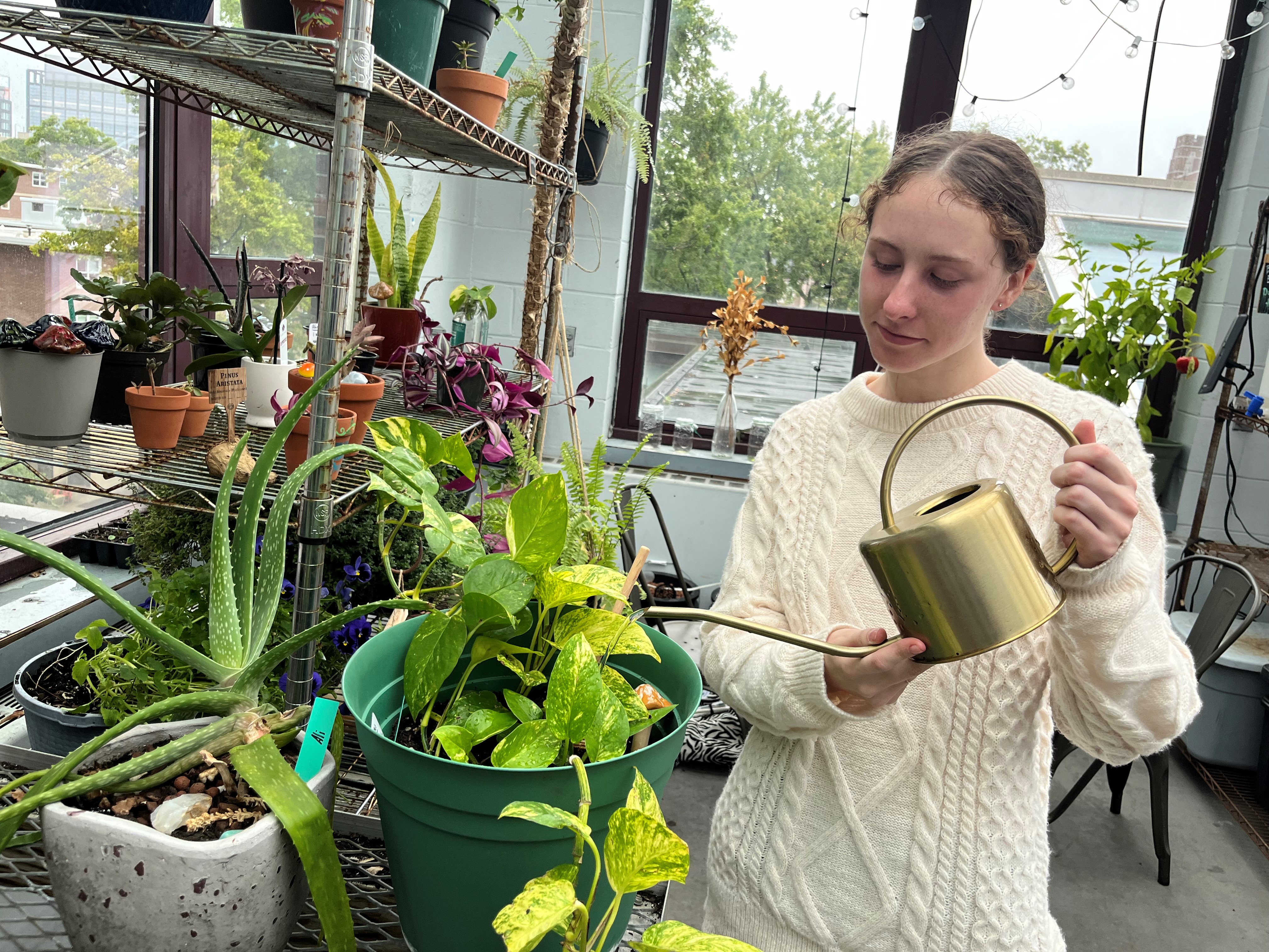 A student watering a plant 