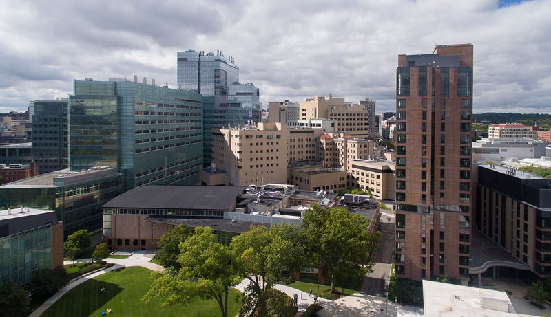 A view of the Longwood Medical Area, including Merck Research Laboratories and Beth Israel Hospital, from Emmanuel's campus