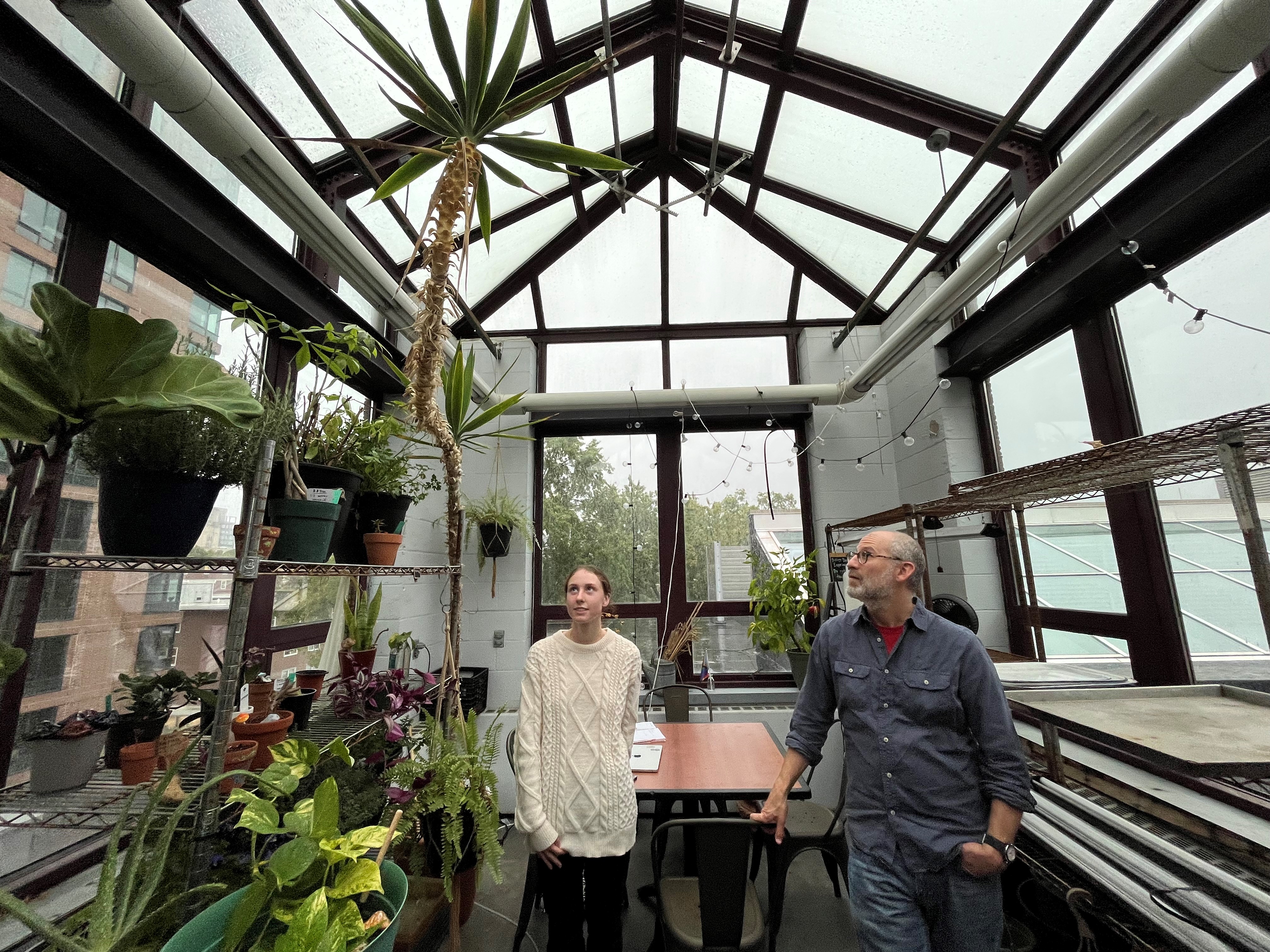 two people with the massive Yucca plant at the Emmanuel greenhouse 
