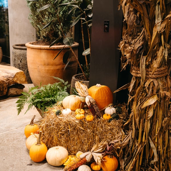 harvest
