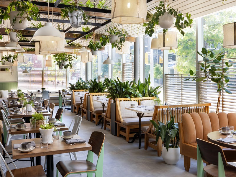Restaurant with a mix of booth style and chair seating, accented by greenery hanging from the ceiling.