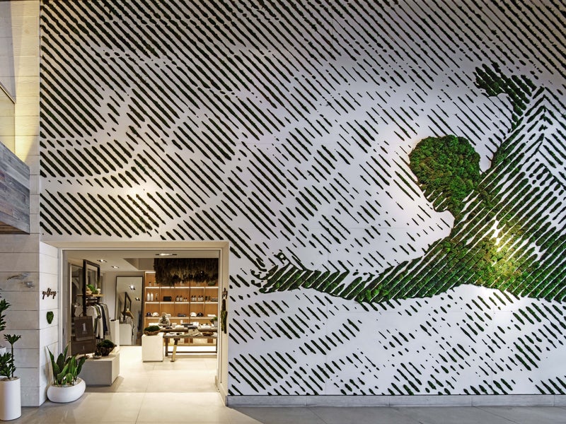 Moss mural in the wall