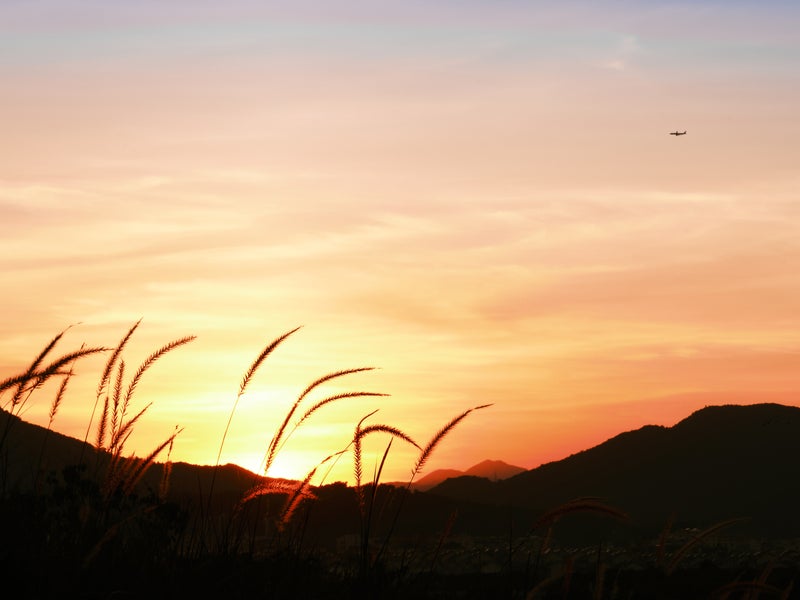 Picture of the sunset