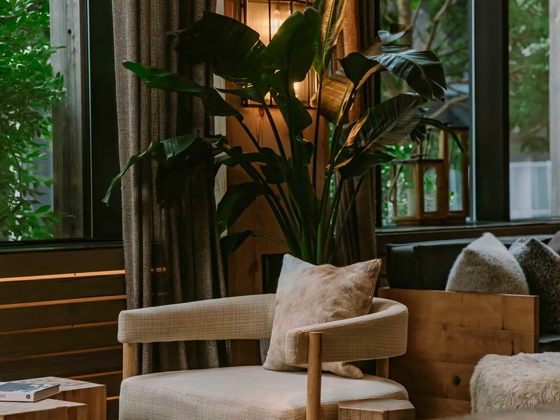 lobby of 1 hotel brooklyn bridge