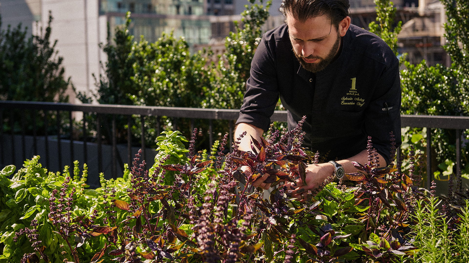 1 Hotels テラスで植物の世話をする1 Hotels 従業員