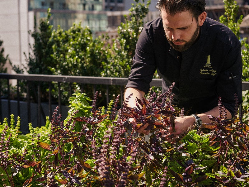 1 Hotels employee taking care of plants in terrace