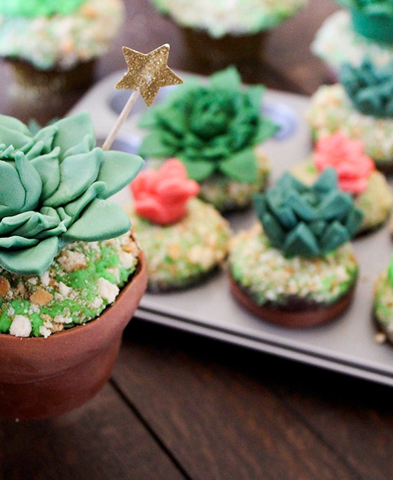 Person holding a cupcake that resembles a potted plant