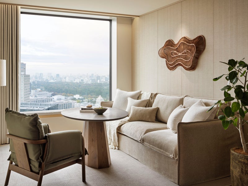 Comfortable couch and chair in living room