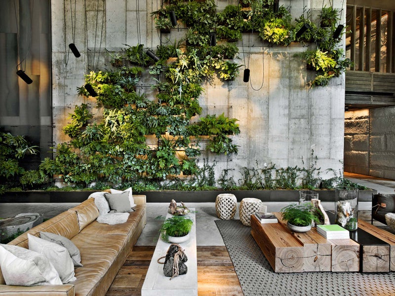 Seating area with plants growing up the wall