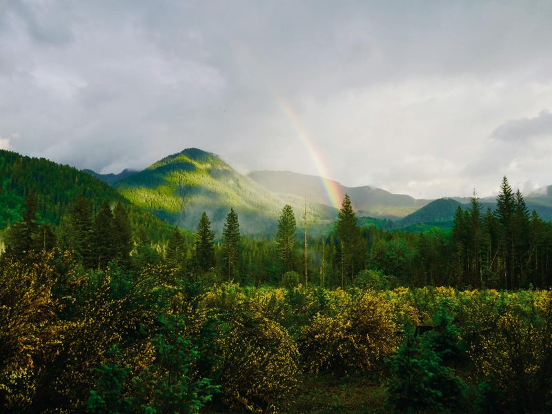 Green hills and trees