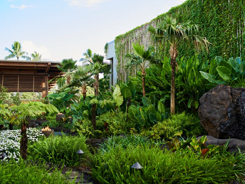 Lush lobby garden at 1 Hotel