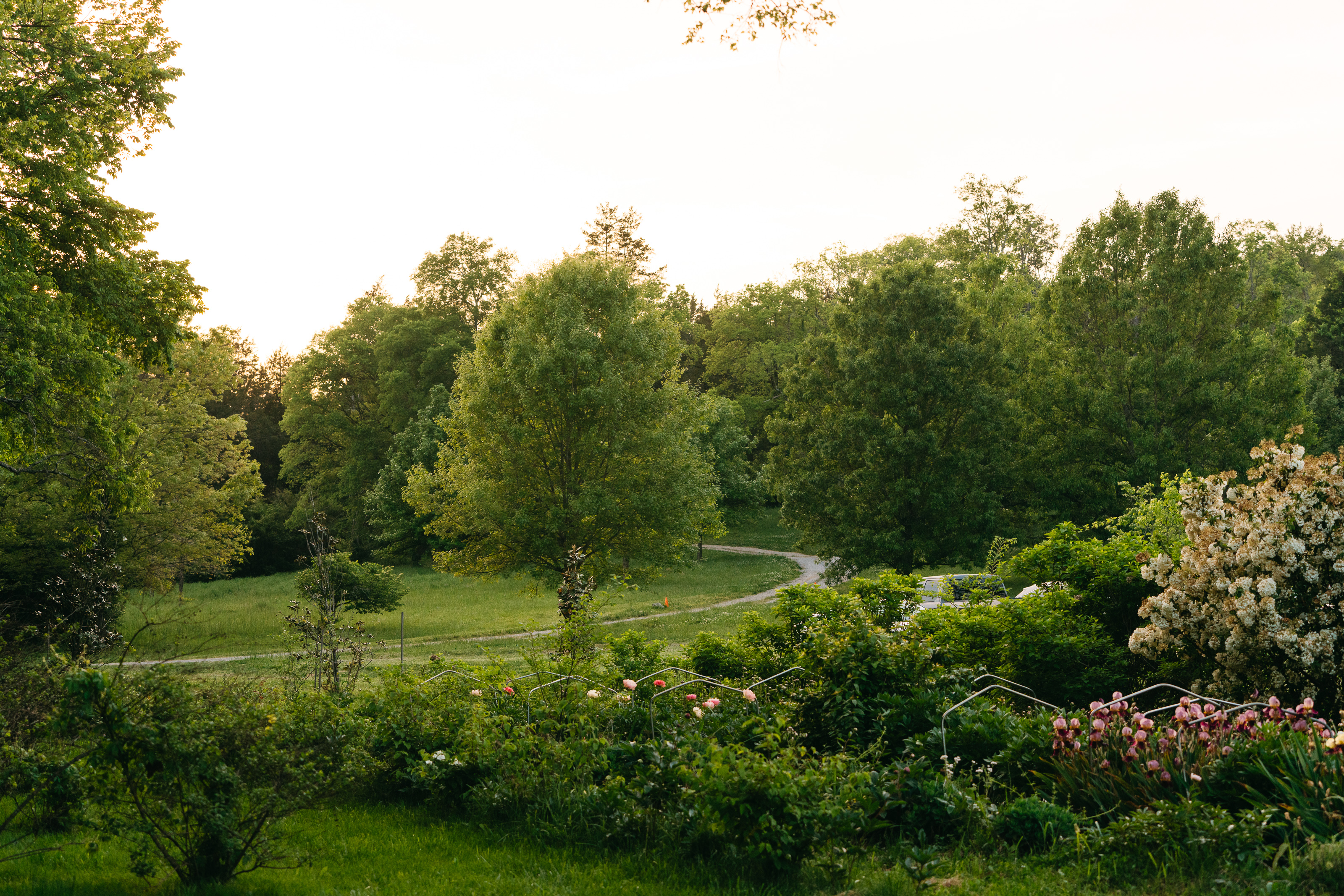 green door gourmet farm