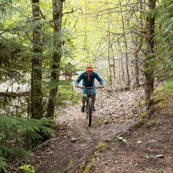 Person riding a bike along a forest trail