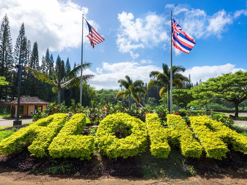 ALOHA shaped topiary