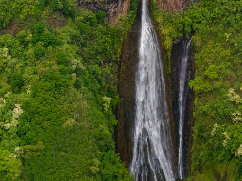 A waterfall surrounded by trees