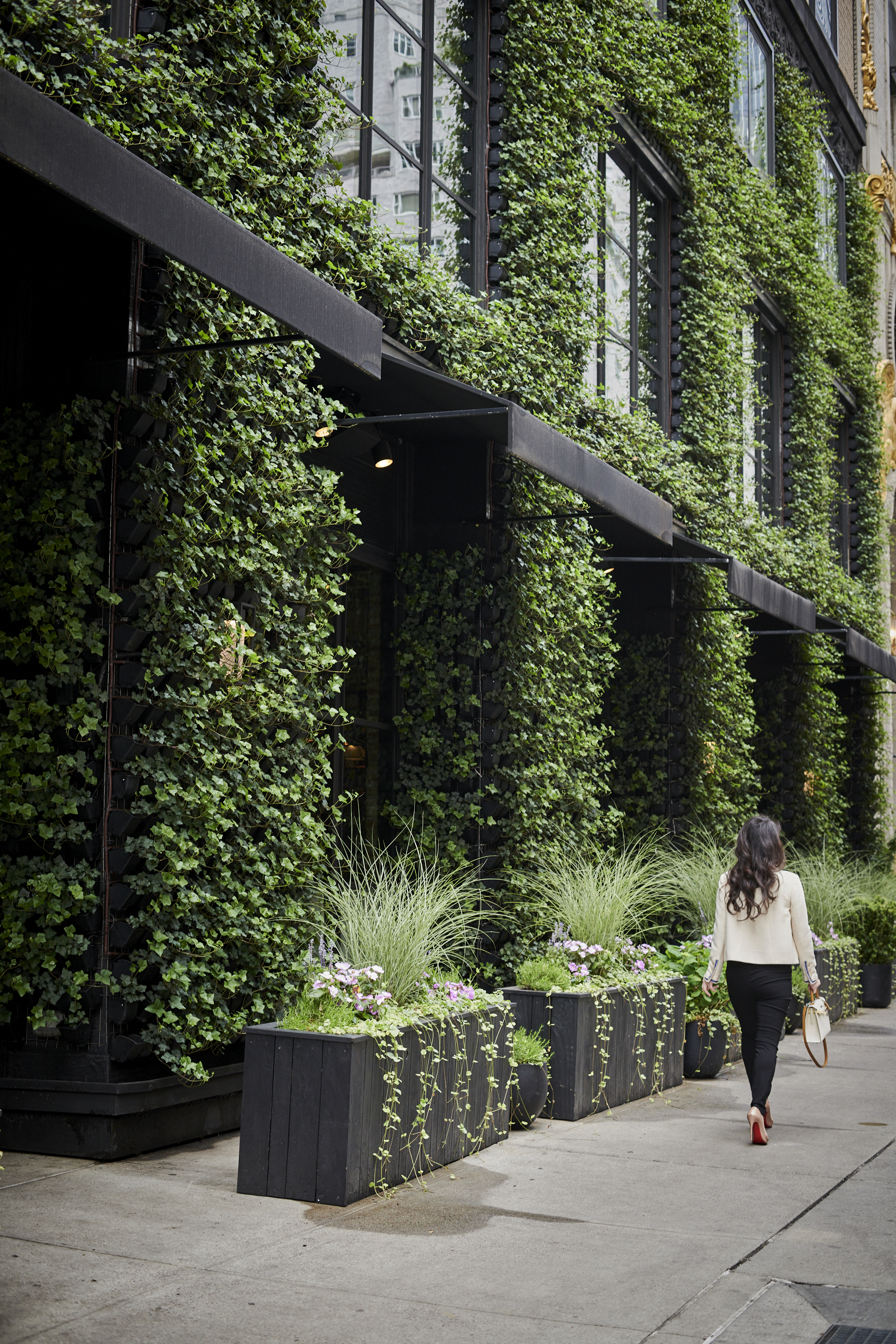 exterior vertical garden