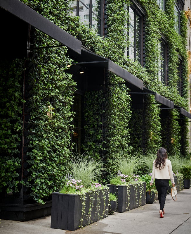 exterior vertical garden