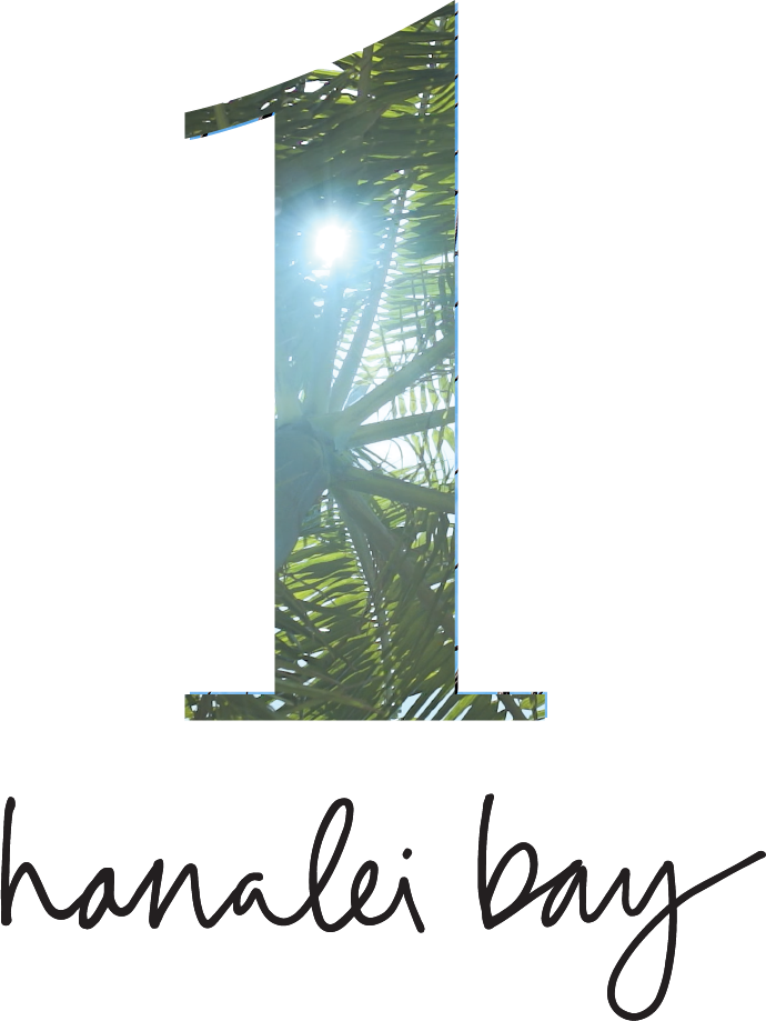 1 Hotels Logo Hanalei Bay