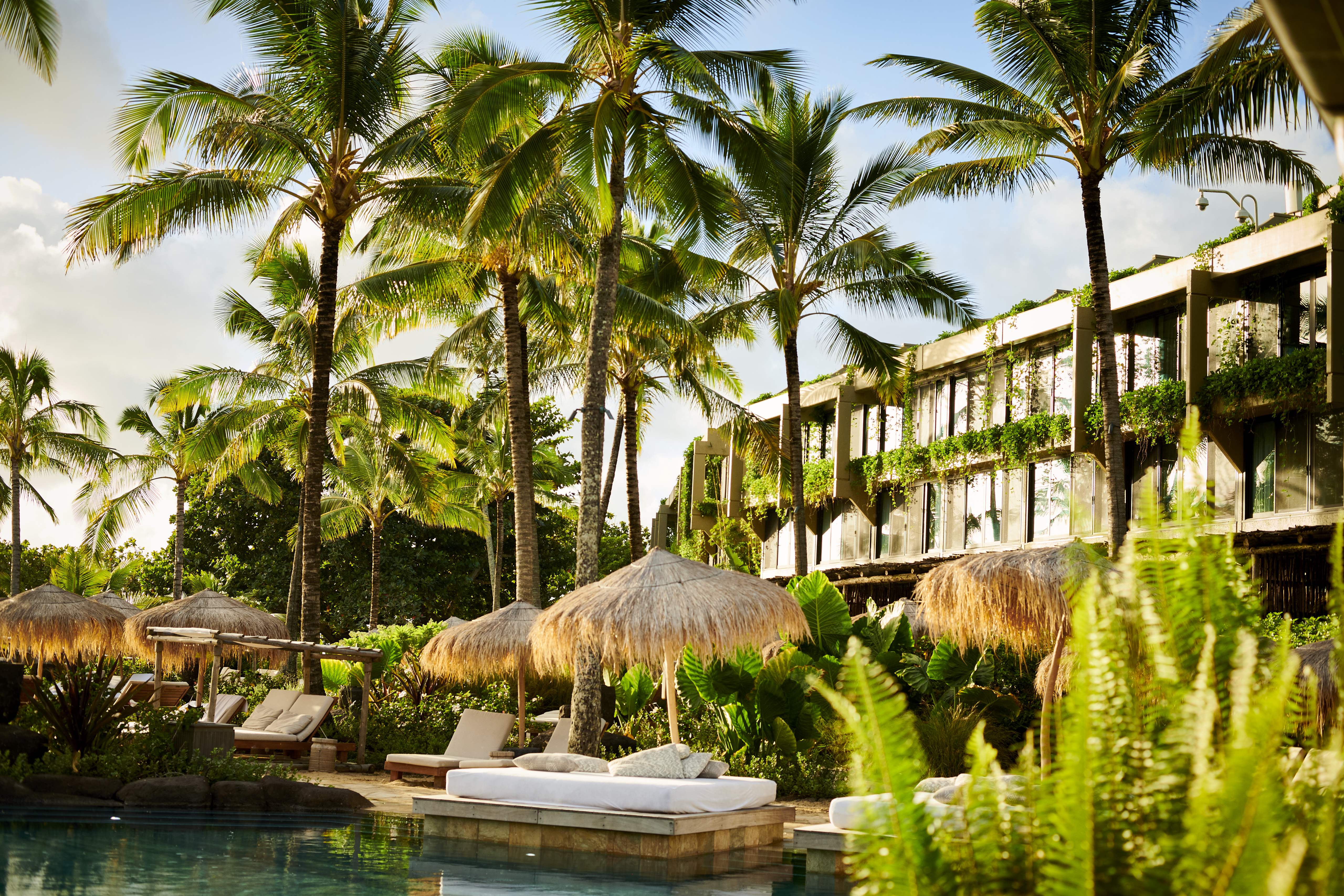 Daybeds by the pool surrounded by palm trees and greenery