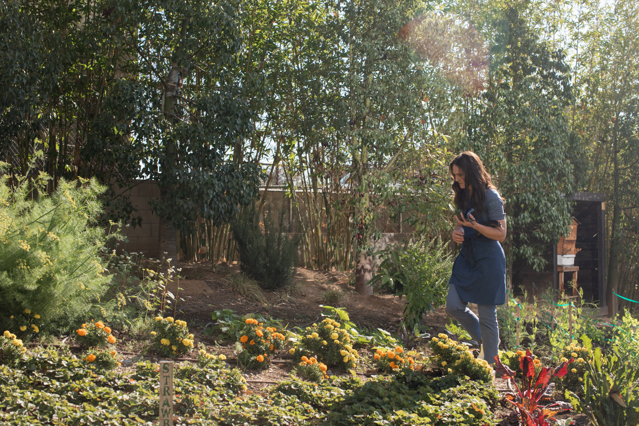 Personne marchant dans un jardin