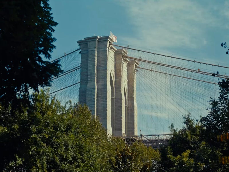 View of the Brooklyn Bridge through the tree tops