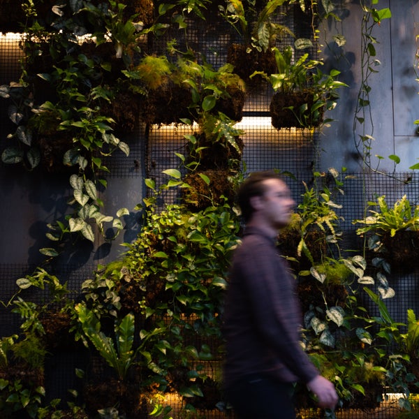 A green eco wall acts as a backdrop for a passerby who is out of focus