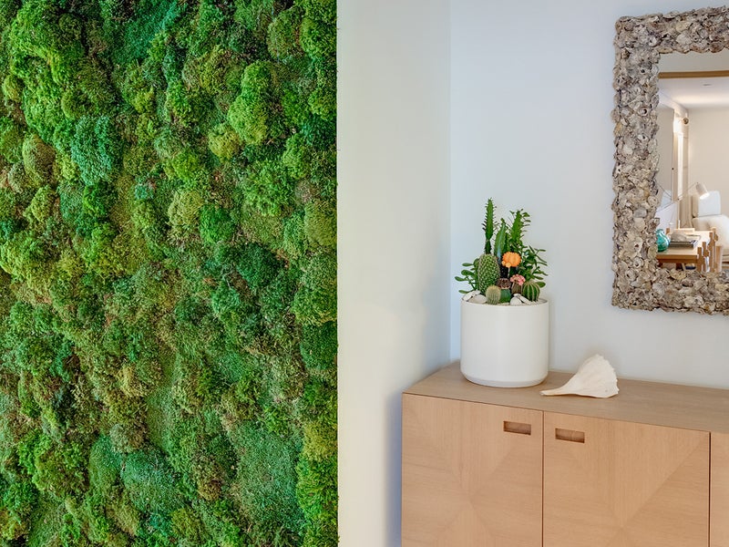 A moss mural on the wall