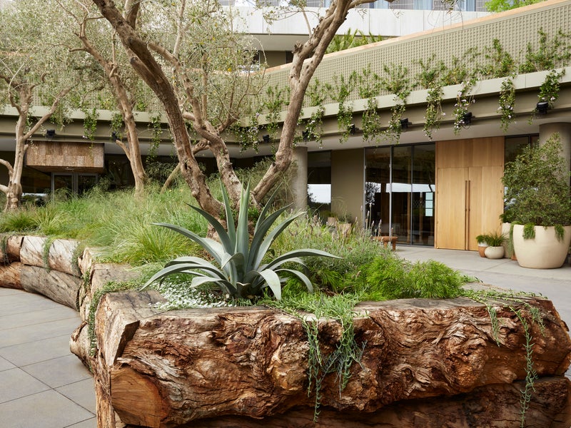 Garden outside the hotel